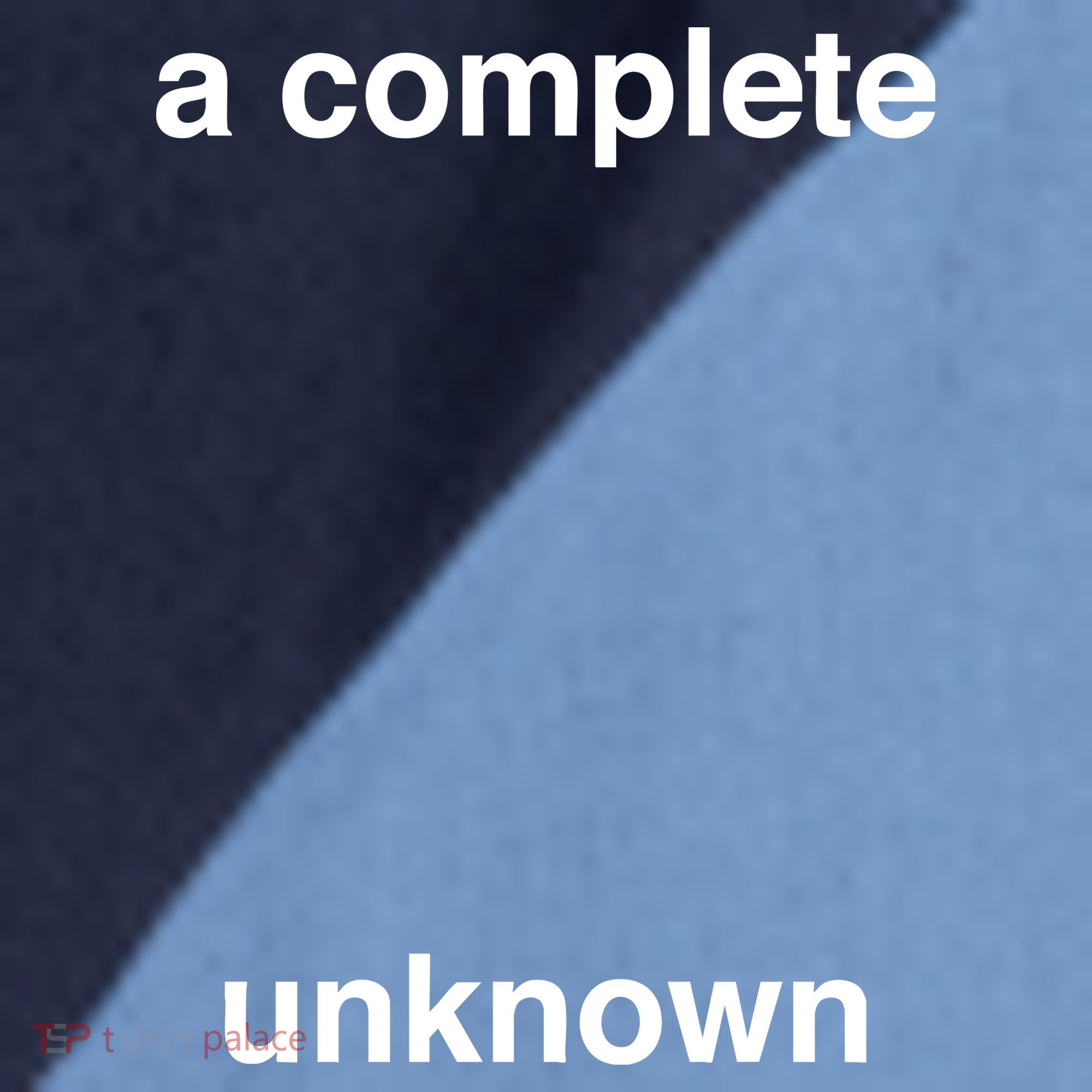 A Complete Unknown..01 Raglan Baseball Sleeve Shirt