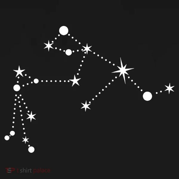Aquarius Constellation Zodiac Bucket Hat