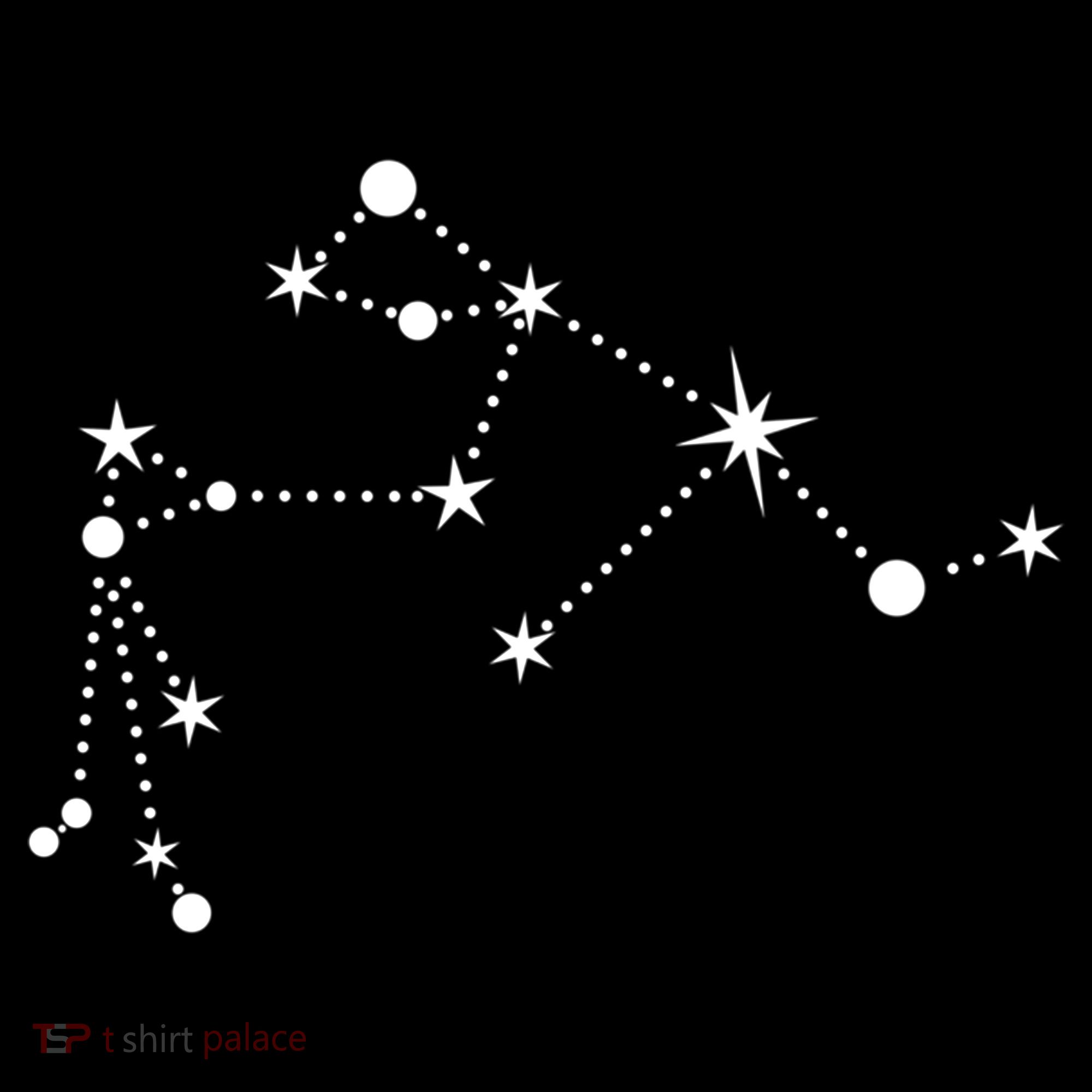 Aquarius Constellation Zodiac Gift Women's Hoodie