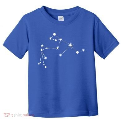 Aquarius Constellation Zodiac Gift Toddler T-Shirt