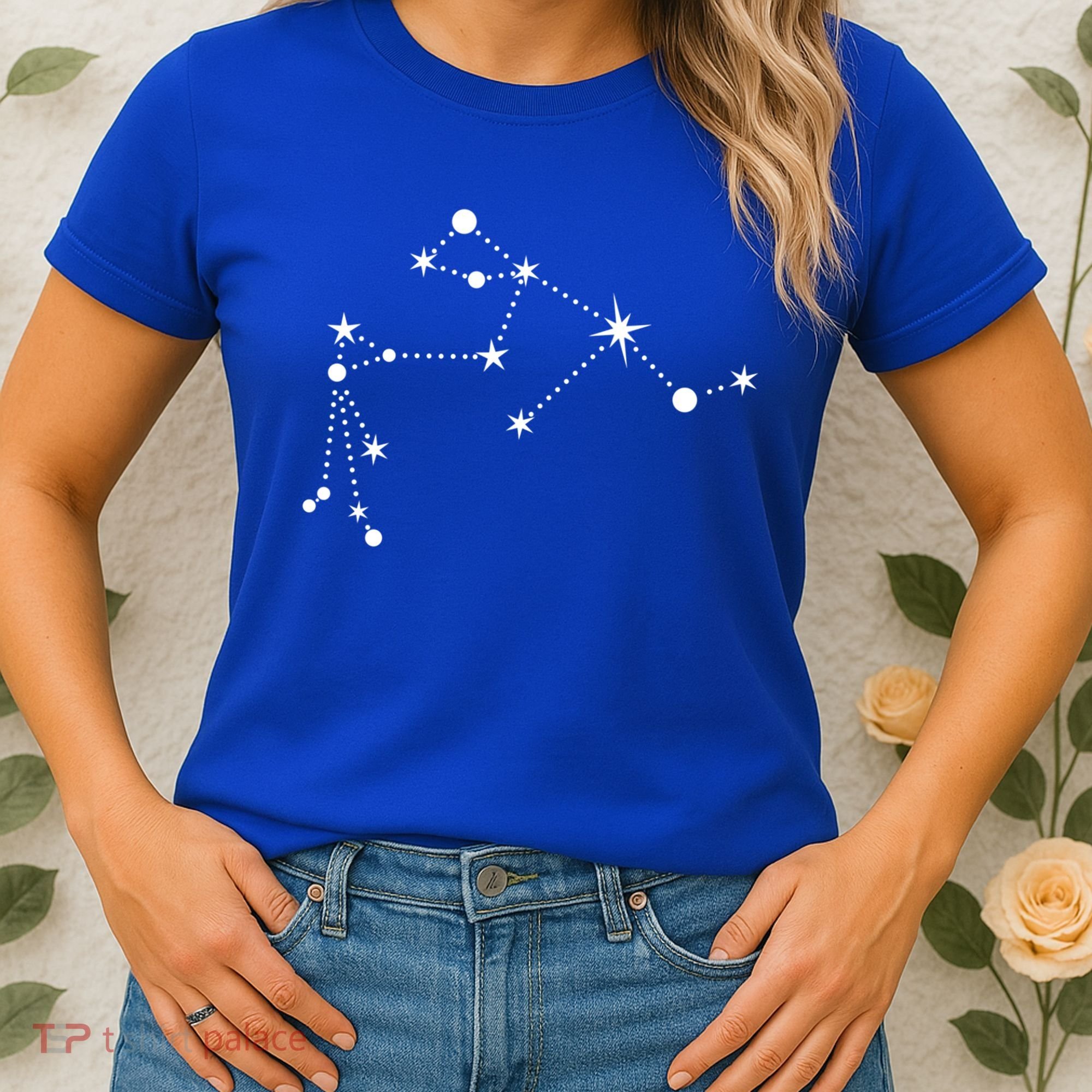 Aquarius Constellation Zodiac Gift Women's T-Shirt