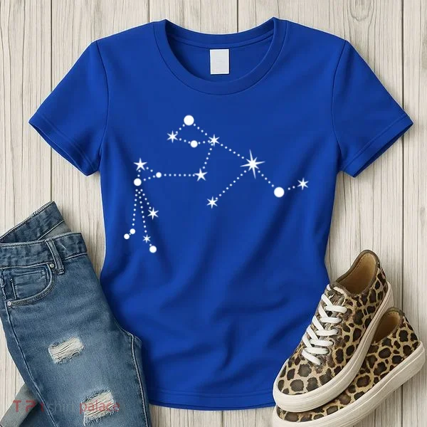 Aquarius Constellation Zodiac Gift Women's T-Shirt