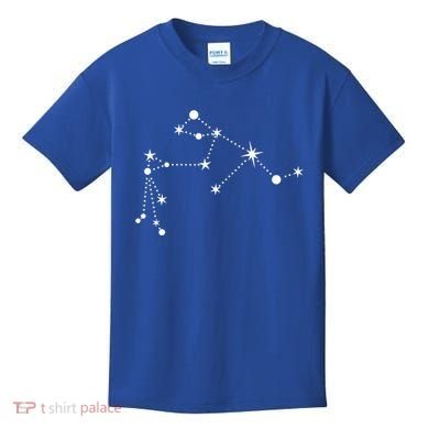 Aquarius Constellation Zodiac Gift Kids T-Shirt