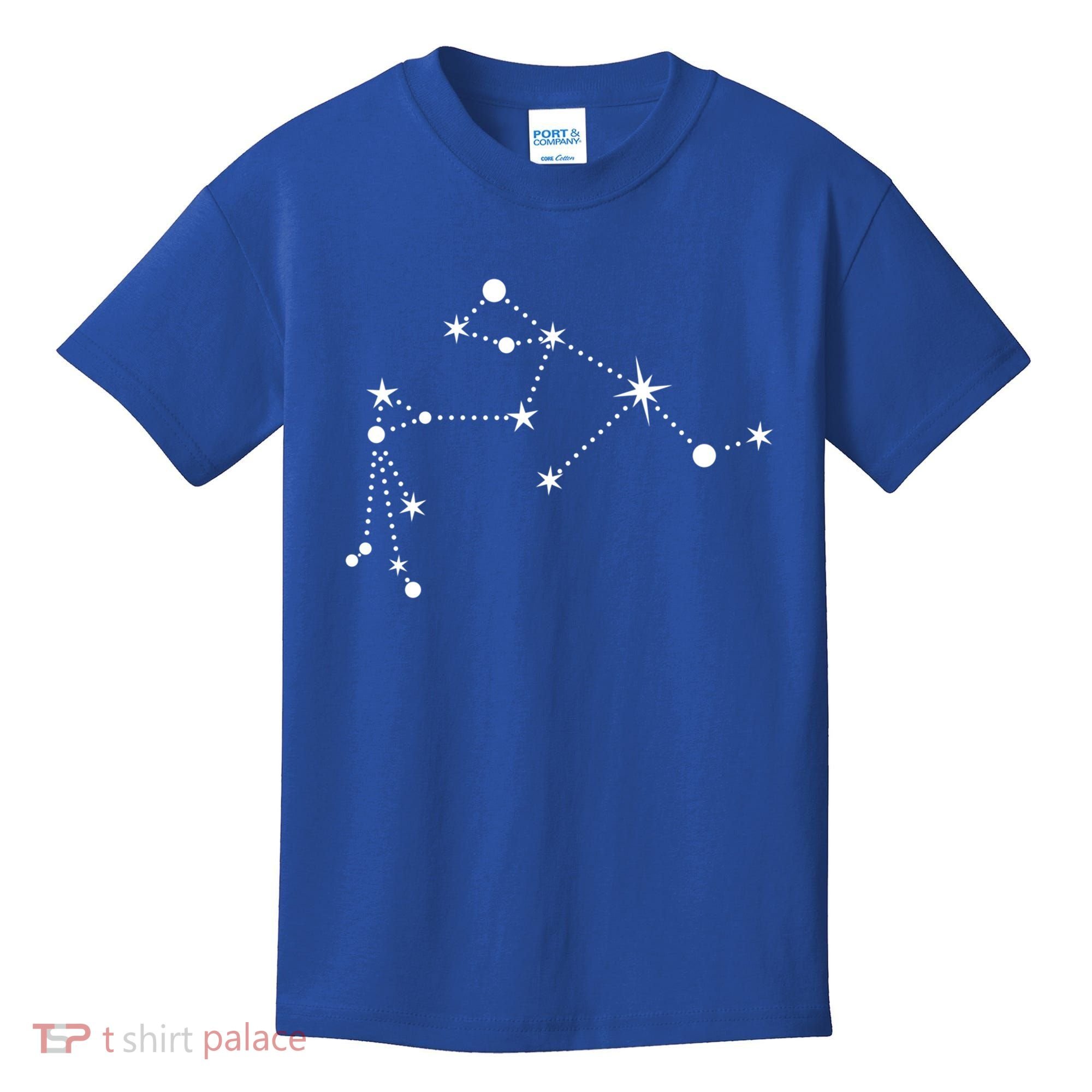 Aquarius Constellation Zodiac Gift Kids T-Shirt