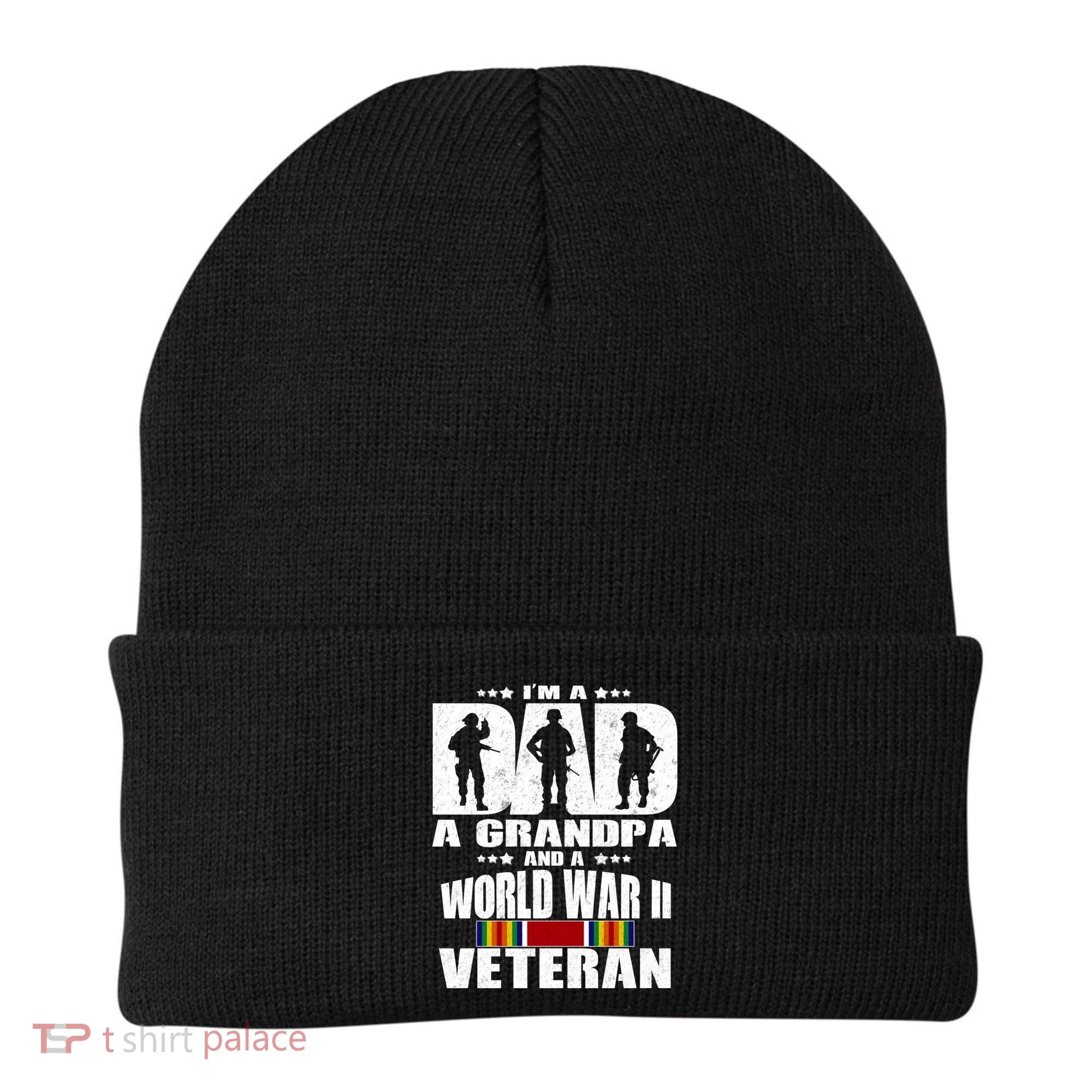 A Dad A Grandpa And A World War 2 Veteran Gift Beanie