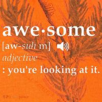 Awesome Definition Kati Licensed 12" Camo Cuffed Beanie thumb 2
