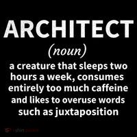 Architect Definition Architecture Student Architect Gift USA-Made Doggie Bandana thumb 2