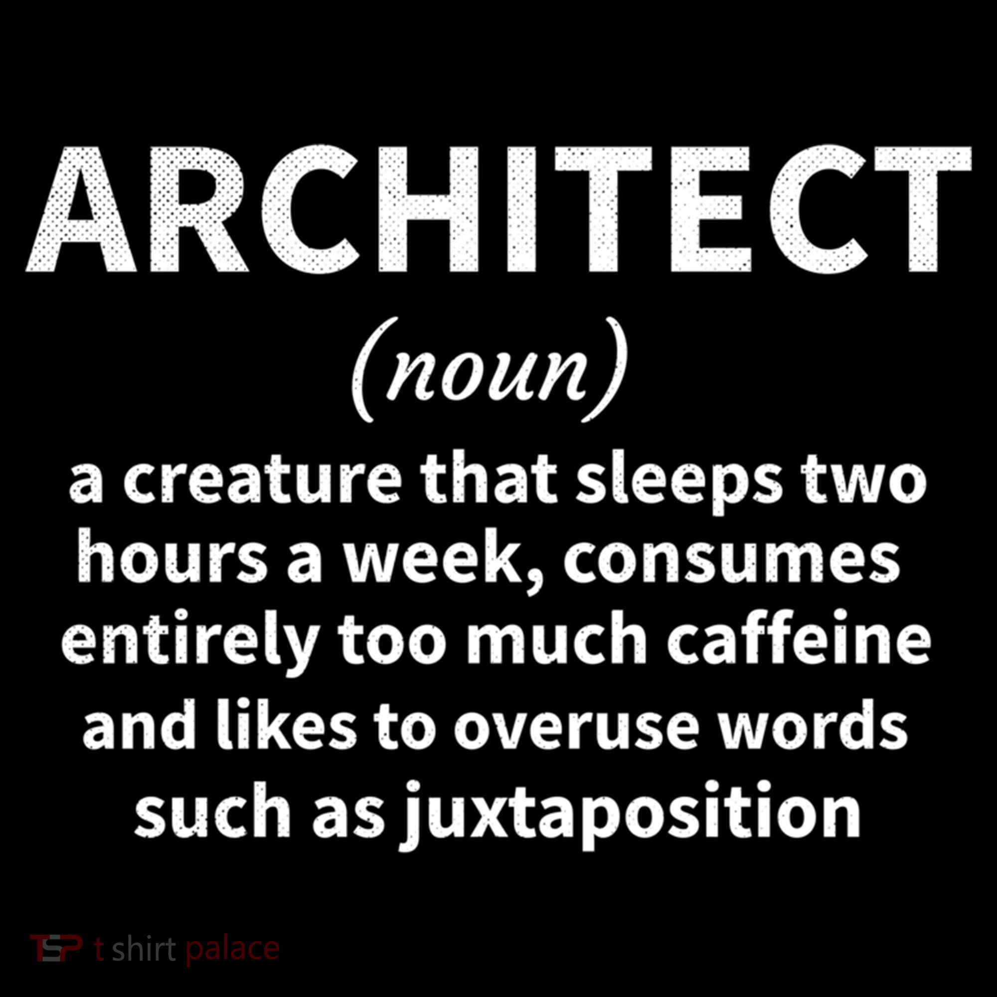 Architect Definition Architecture Student Architect Gift USA-Made Doggie Bandana