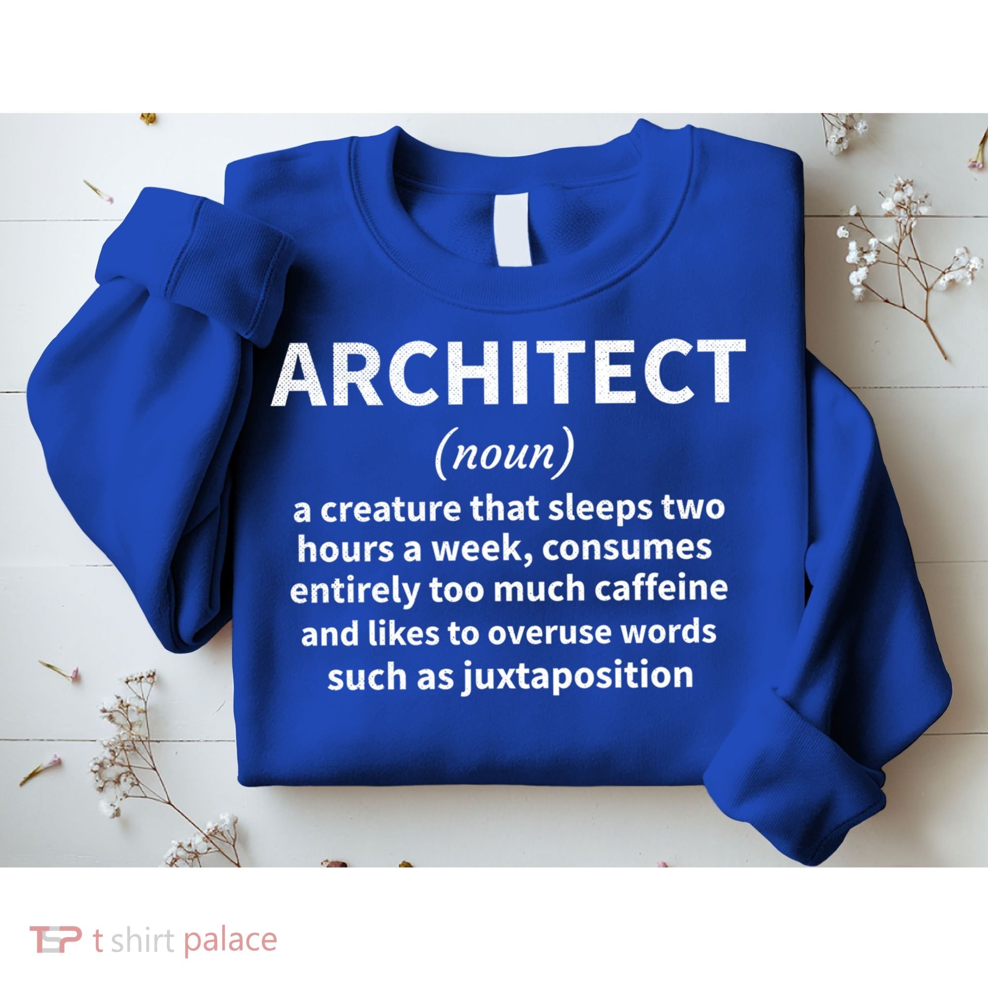 Architect Definition Architecture Student Architect Gift Sweatshirt