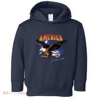American Dreamer Bald Eagle In Action Toddler Hoodie thumb 0