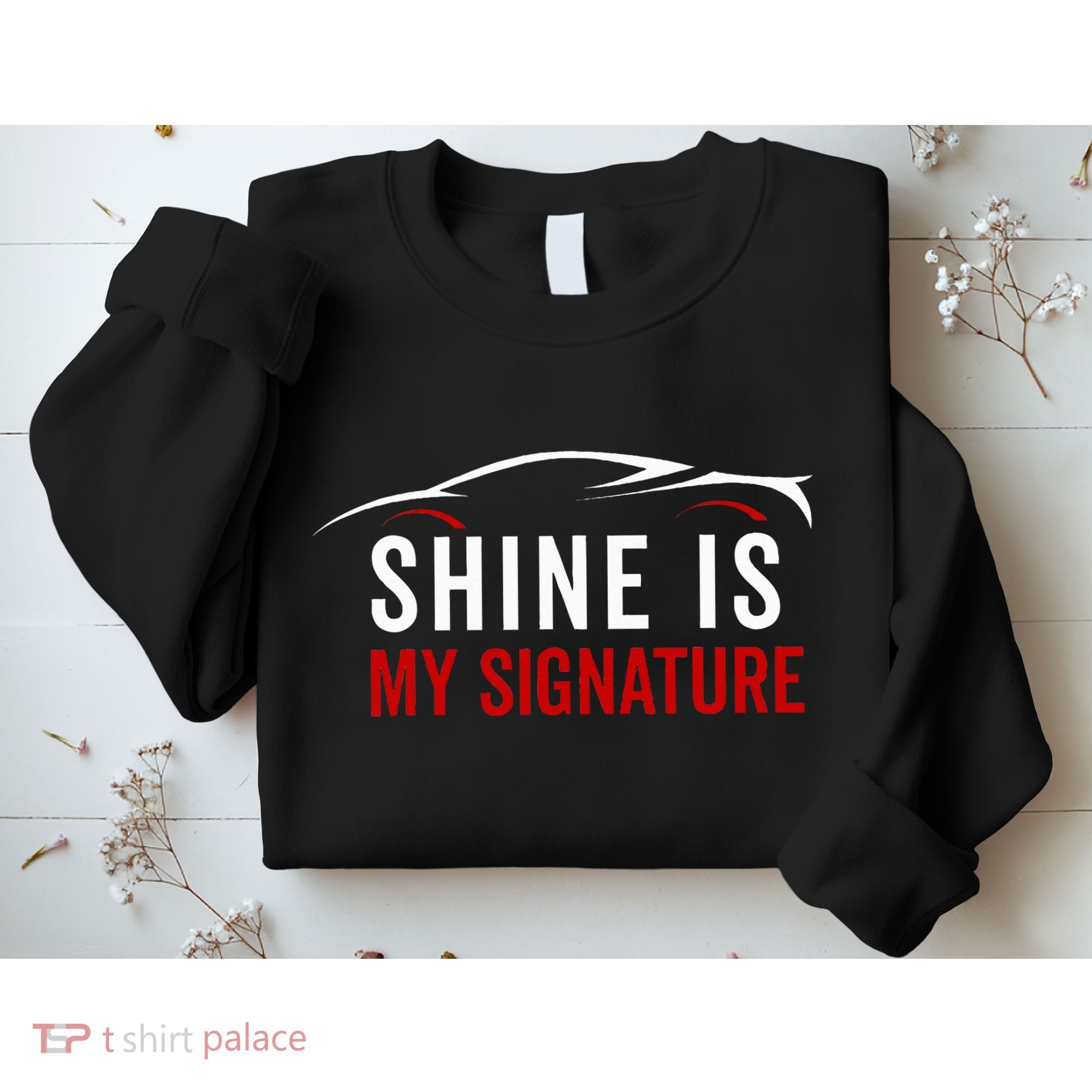 Auto Detailer Car Detailing Car Washer Sweatshirt