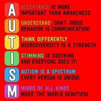 Autism Definitions Chart Special Ed Teacher Neurodiversity Santa Hat thumb 1