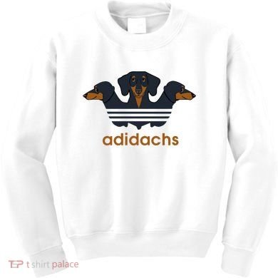 Adidachs Daschund, Daschund Lover Gift Kids Sweatshirt