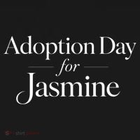 Adoption Day For Jasmine Bucket Hat thumb 4