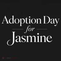 Adoption Day For Jasmine Toddler Hoodie thumb 2