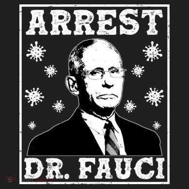 Arrest Dr. Fauci District V.I.T. Heavyweight Hoodie