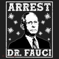 Arrest Dr. Fauci District V.I.T. Heavyweight Hoodie thumb 2