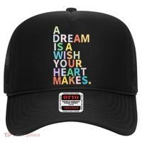 A Dream Is A Wish Your Heart Makes Hat thumb 0