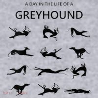 A Day In The Life Of A Greyhound Women's Sweatshirt thumb 2