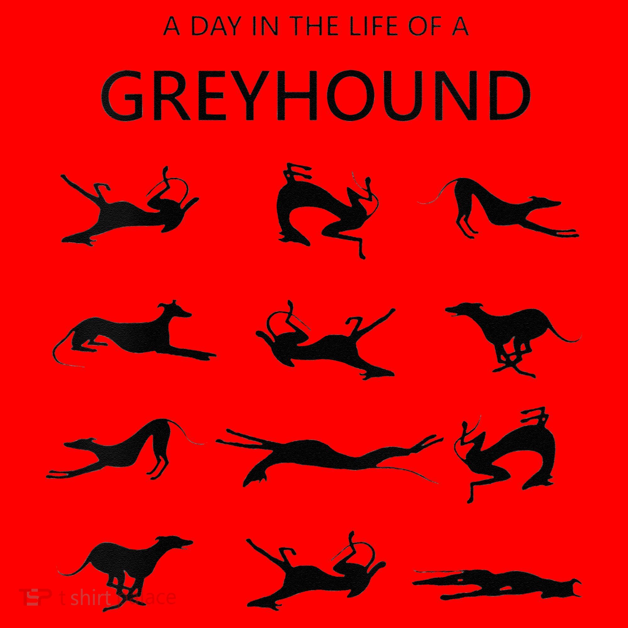 A Day In The Life Of A Greyhound Santa Hat