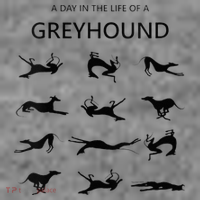 A Day In The Life Of A Greyhound Toddler Hoodie thumb 2