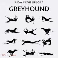A Day In The Life Of A Greyhound Women's Hoodie thumb 2