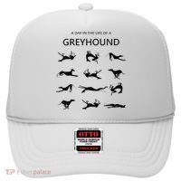 A Day In The Life Of A Greyhound Hat thumb 0
