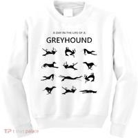 A Day In The Life Of A Greyhound Kids Sweatshirt thumb 0
