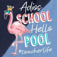 Adios School Hello Pool Teacher Life Flamingo Raglan Baseball Sleeve Shirt thumb 2