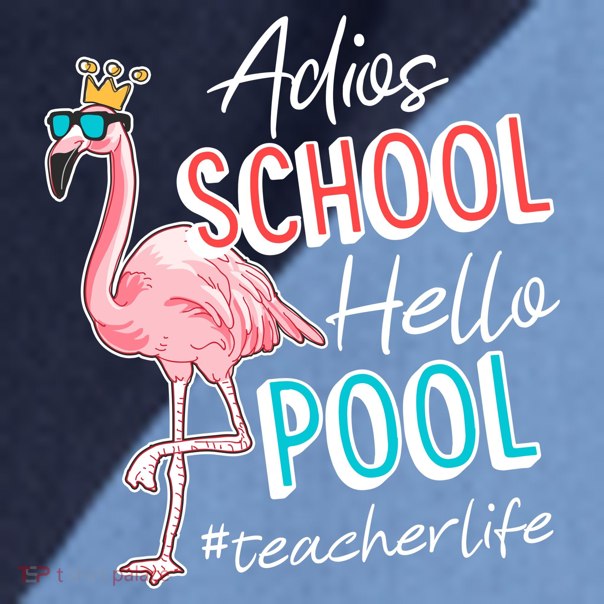 Adios School Hello Pool Teacher Life Flamingo Raglan Baseball Sleeve Shirt