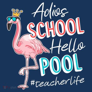 Adios School Hello Pool Teacher Life Flamingo Flat Bill Trucker Hat