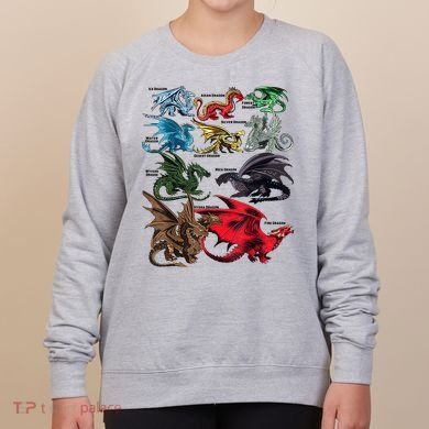 Awesome Dragon Lovers Types Of Dragons Gift Women's Sweatshirt