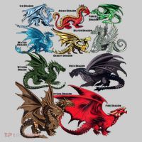 Awesome Dragon Lovers Types Of Dragons Gift T-Shirt thumb 2