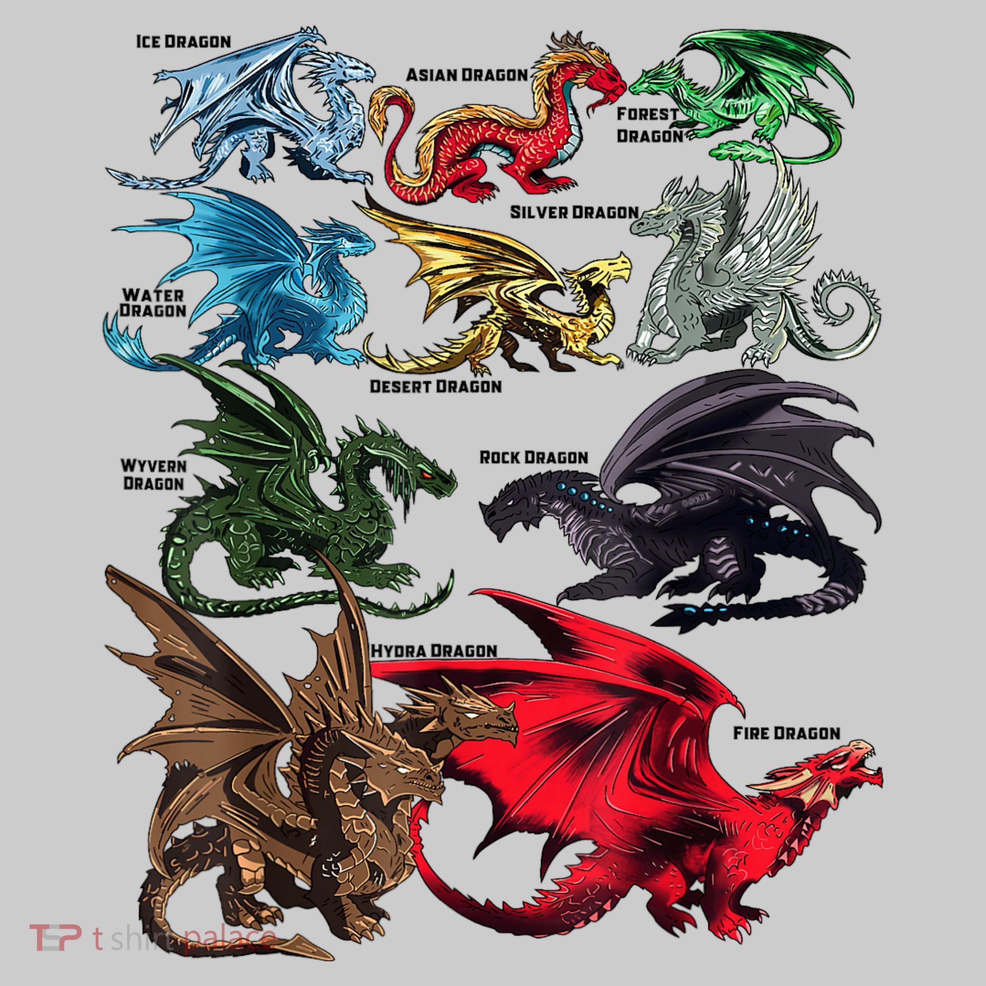 Awesome Dragon Lovers Types Of Dragons Gift T-Shirt