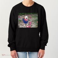 Apple Dog Meme Funny Dog With Apple In Mouth Funny Brainrot Women's Sweatshirt thumb 0