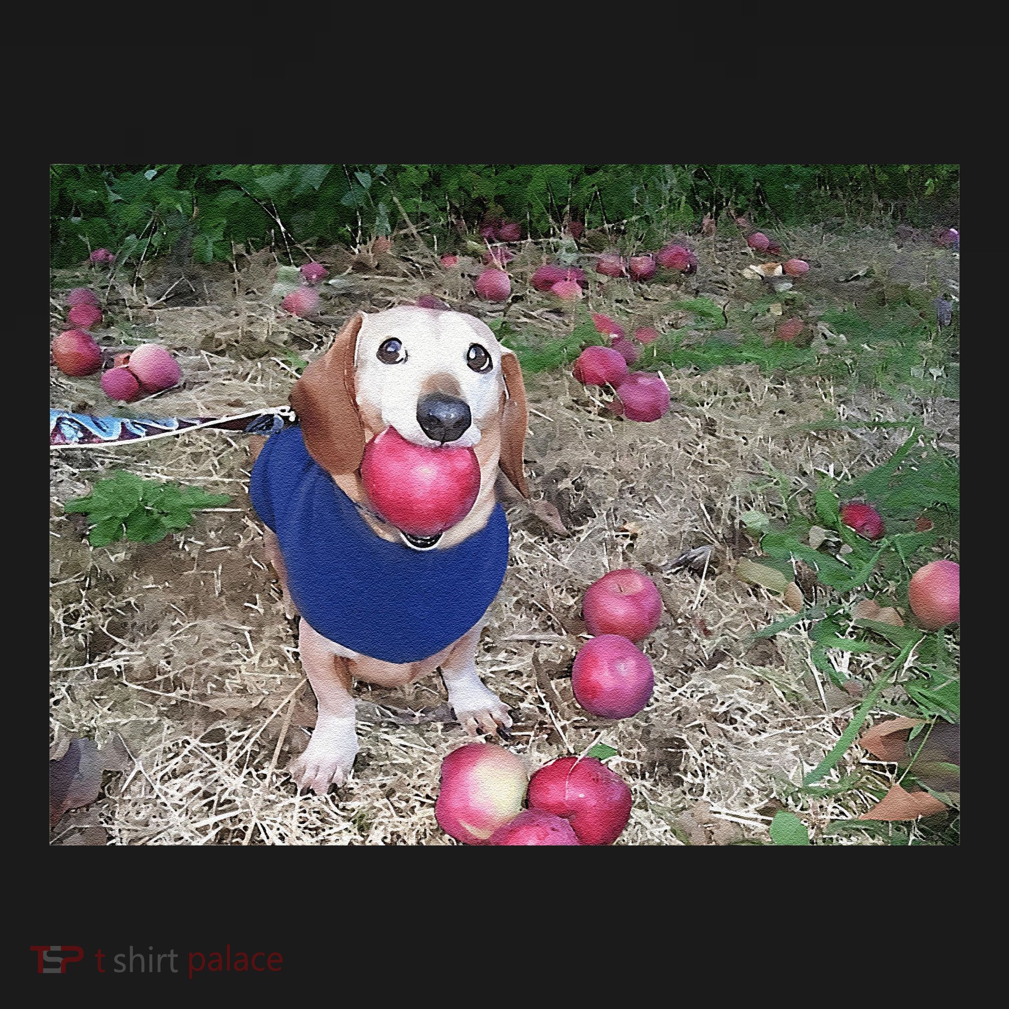 Apple Dog Meme Funny Dog With Apple In Mouth Funny Brainrot Apron