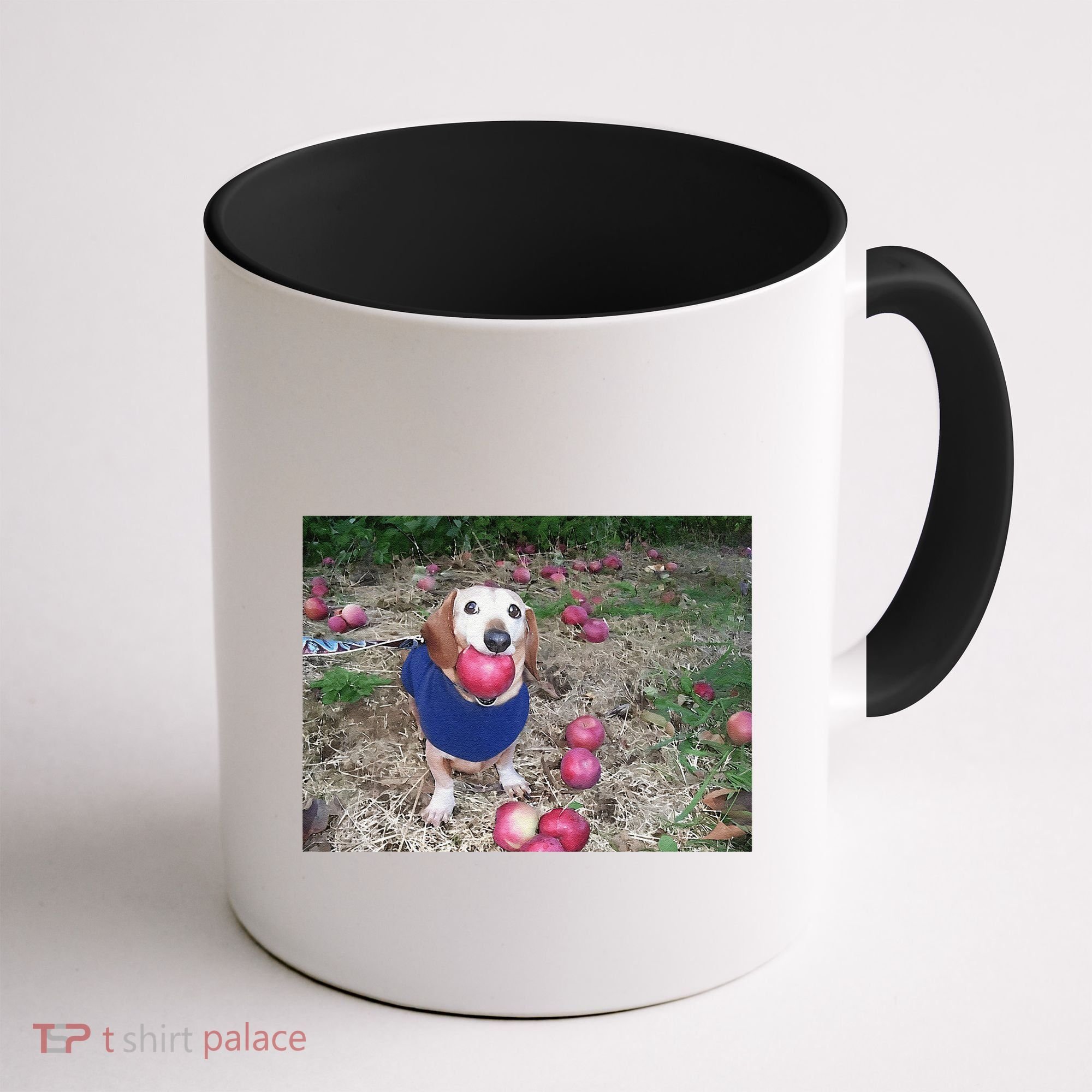 Apple Dog Meme Funny Dog With Apple In Mouth Funny Brainrot Coffee Mug
