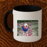 Apple Dog Meme Funny Dog With Apple In Mouth Funny Brainrot Coffee Mug thumb 2