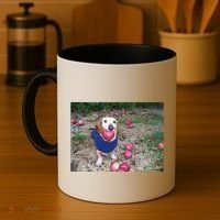 Apple Dog Meme Funny Dog With Apple In Mouth Funny Brainrot Coffee Mug thumb 4