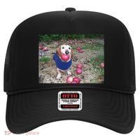 Apple Dog Meme Funny Dog With Apple In Mouth Funny Brainrot Hat thumb 0