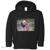 Apple Dog Meme Funny Dog With Apple In Mouth Funny Brainrot Toddler Hoodie thumb 0