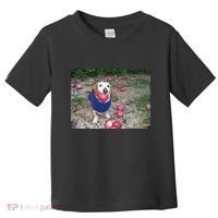 Apple Dog Meme Funny Dog With Apple In Mouth Funny Brainrot Toddler T-Shirt thumb 0