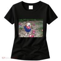 Apple Dog Meme Funny Dog With Apple In Mouth Funny Brainrot Women's T-Shirt thumb 0