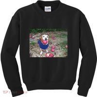 Apple Dog Meme Funny Dog With Apple In Mouth Funny Brainrot Kids Sweatshirt thumb 0