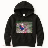 Apple Dog Meme Funny Dog With Apple In Mouth Funny Brainrot Kids Hoodie thumb 0