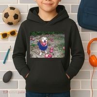 Apple Dog Meme Funny Dog With Apple In Mouth Funny Brainrot Kids Hoodie thumb 2