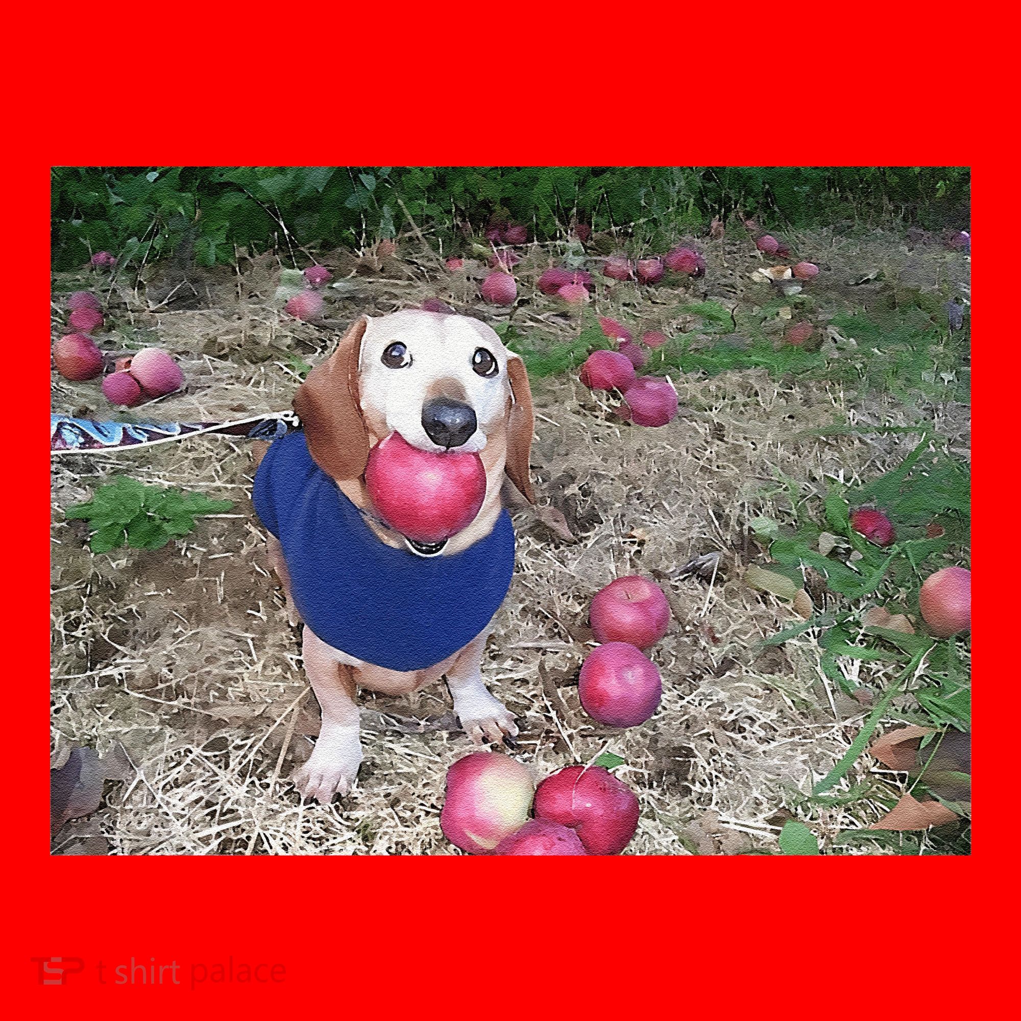Apple Dog Meme Funny Dog With Apple In Mouth Funny Brainrot Santa Hat
