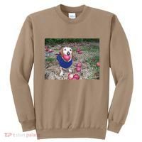 Apple Dog Meme Funny Dog With Apple In Mouth Funny Brainrot Sweatshirt thumb 0