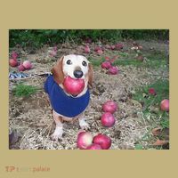 Apple Dog Meme Funny Dog With Apple In Mouth Funny Brainrot Sweatshirt thumb 2