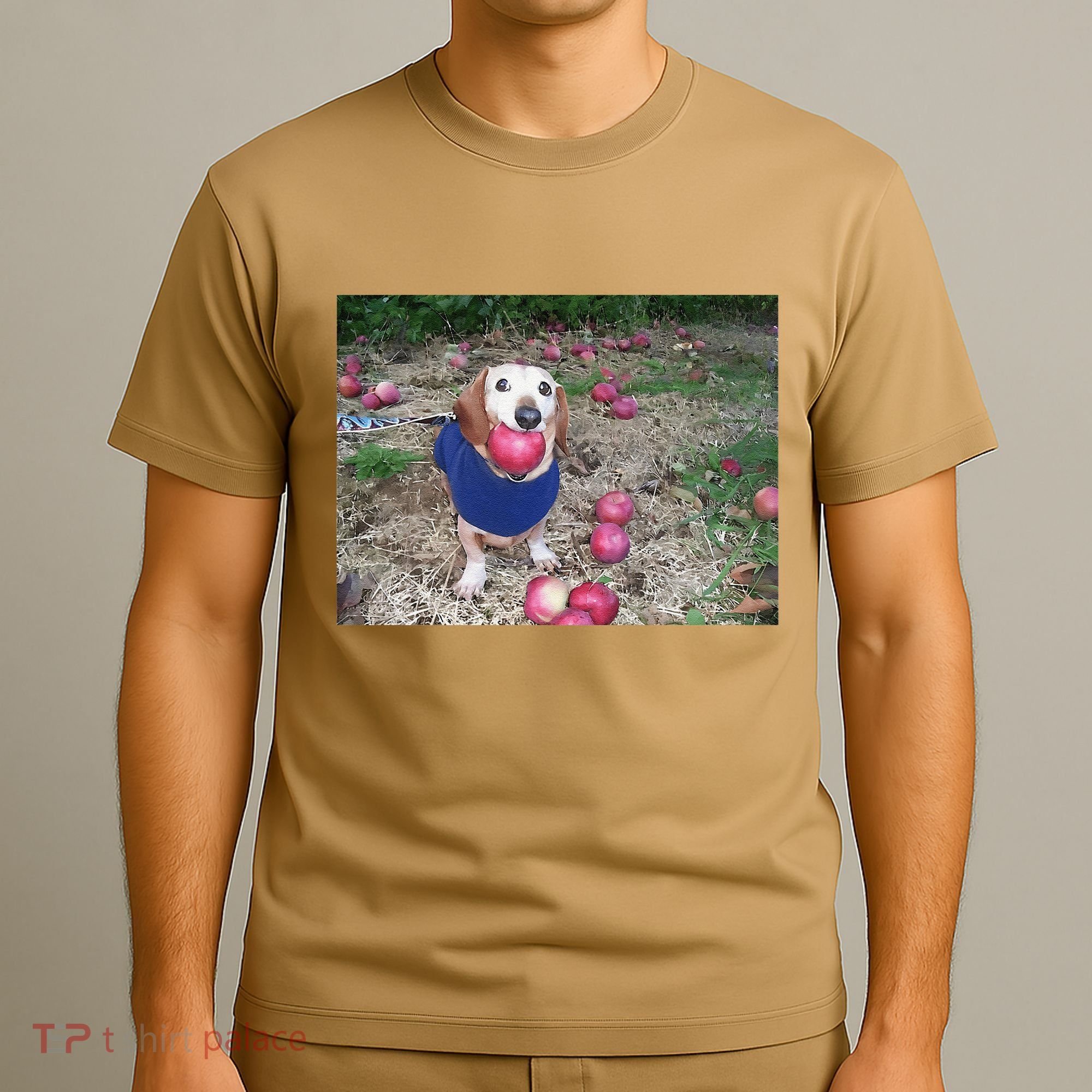 Apple Dog Meme Funny Dog With Apple In Mouth Funny Brainrot T-Shirt